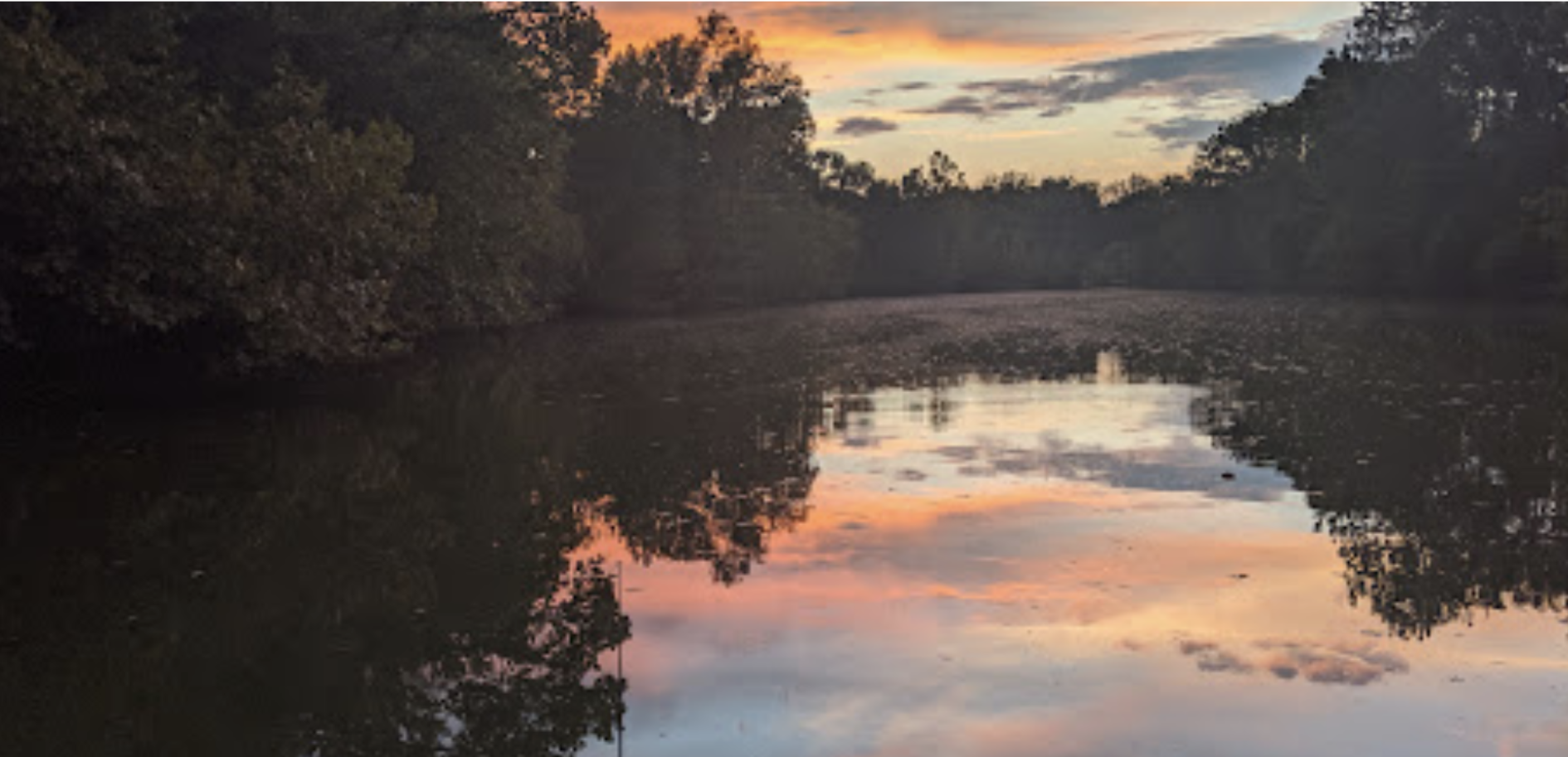 Local Creek Water